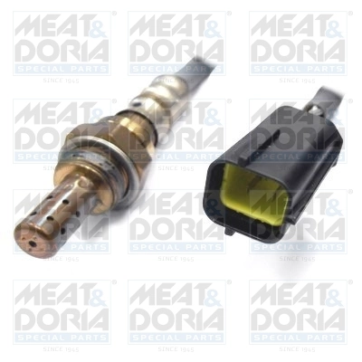 Oxygen Sensor